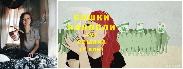 ГАЛЛЮЦИНОГЕННЫЕ ГРИБЫ Абаза