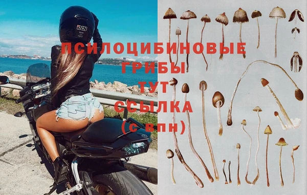 a pvp Абдулино