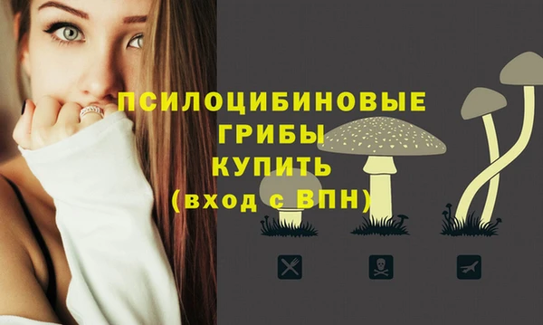 a pvp Абдулино