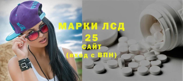 ГАЛЛЮЦИНОГЕННЫЕ ГРИБЫ Абаза