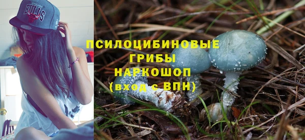 ешки Абинск