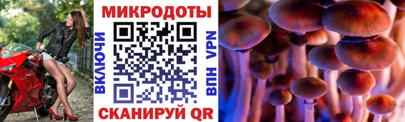 Галлюциногенные грибы Psilocybe  Сызрань 